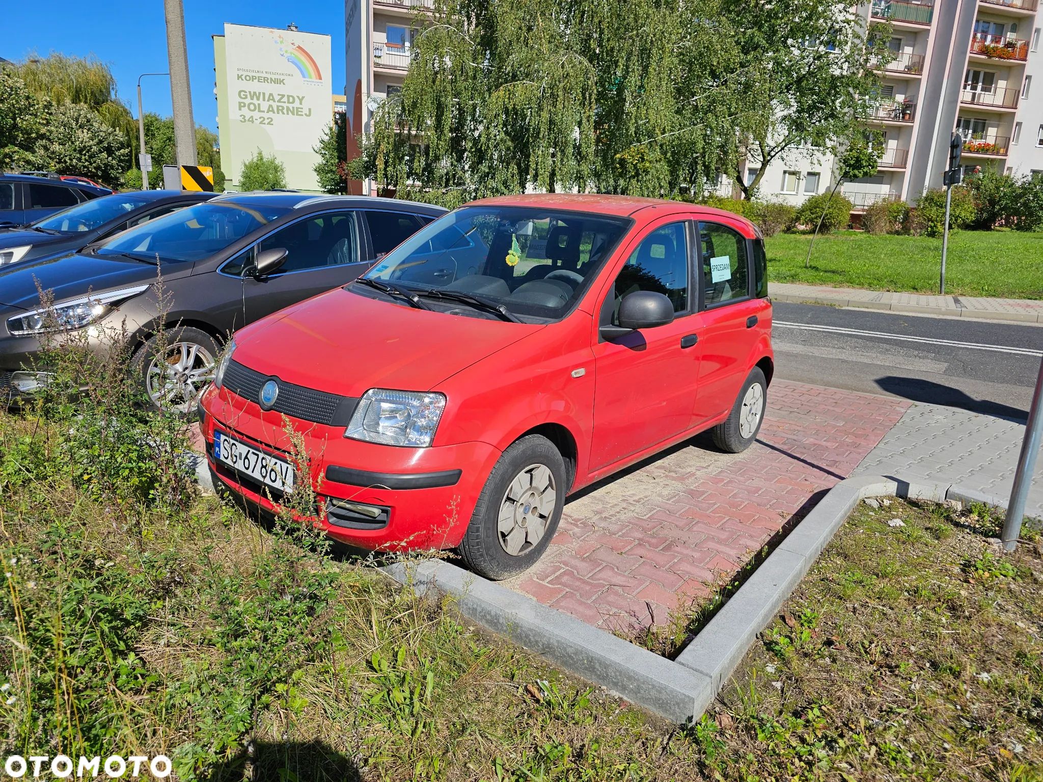 Fiat Panda - 1