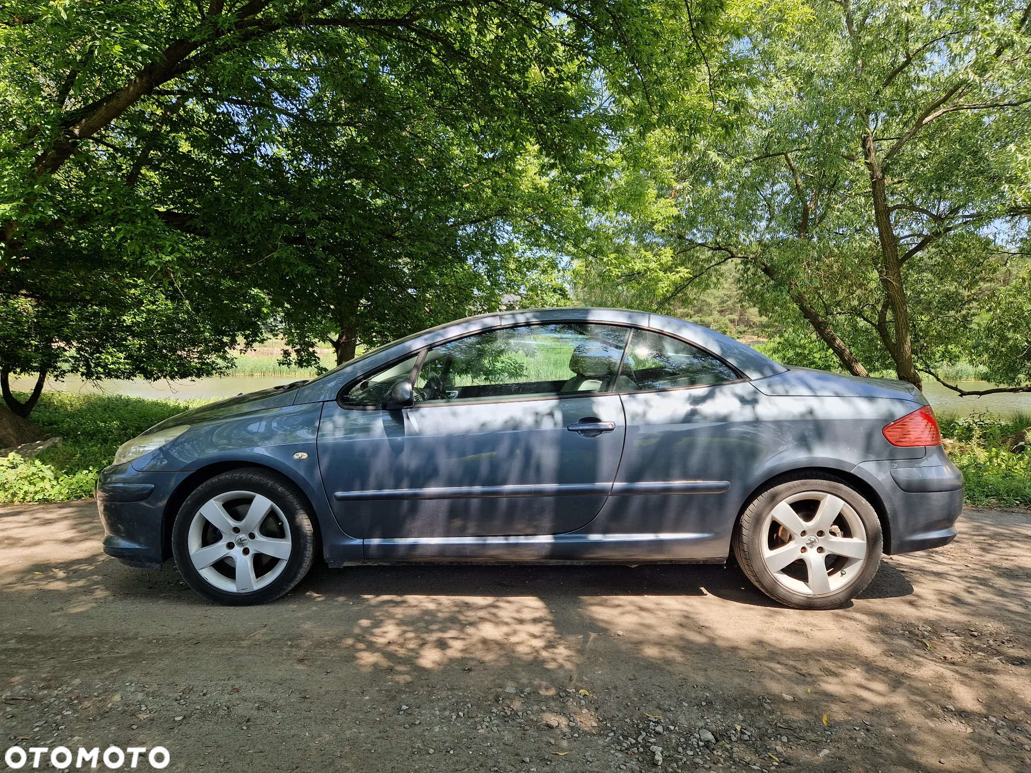 Peugeot 307 CC 2.0 HDi Intense - 18