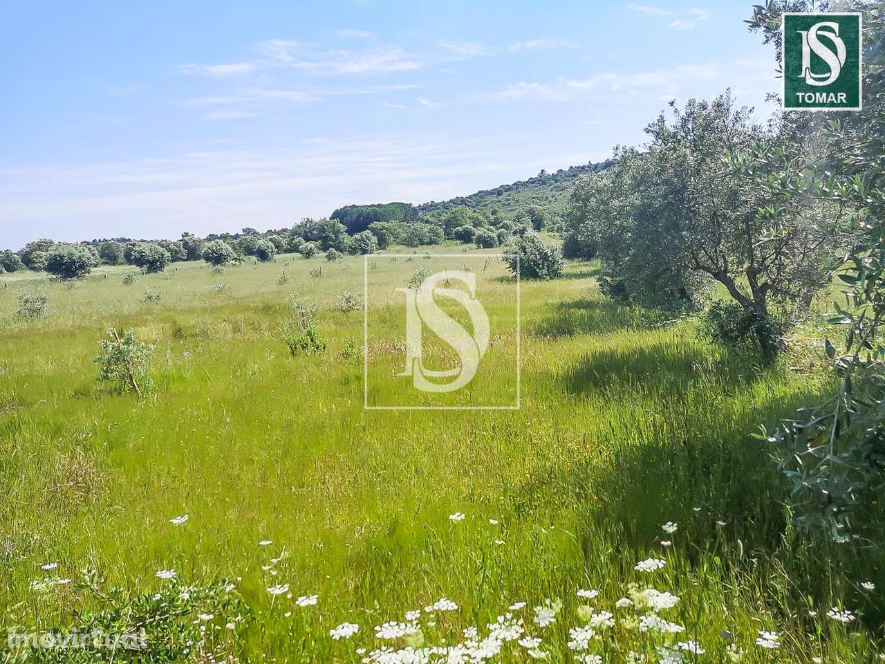 Terreno  Venda em Chãos,Ferreira do Zêzere - Grande imagem: 5/9