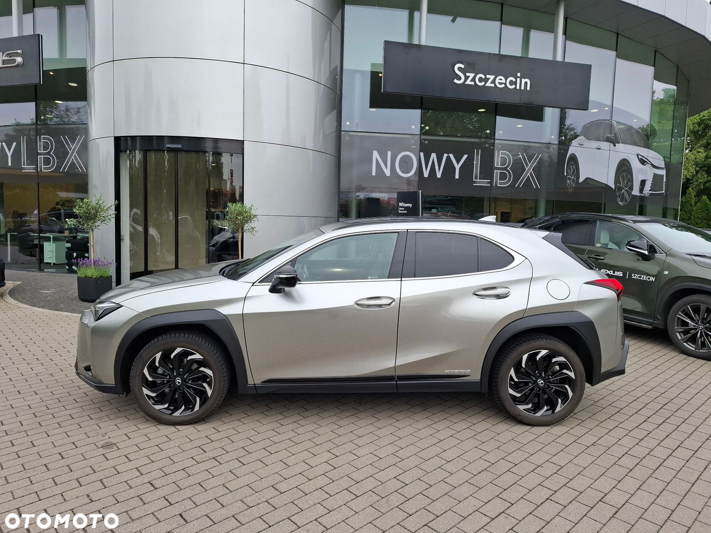 Lexus UX 250h GPF F Impression 2WD - 2