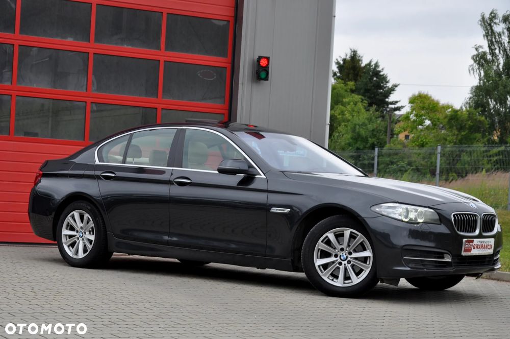 BMW Seria 5 520d Blue Performance - 8