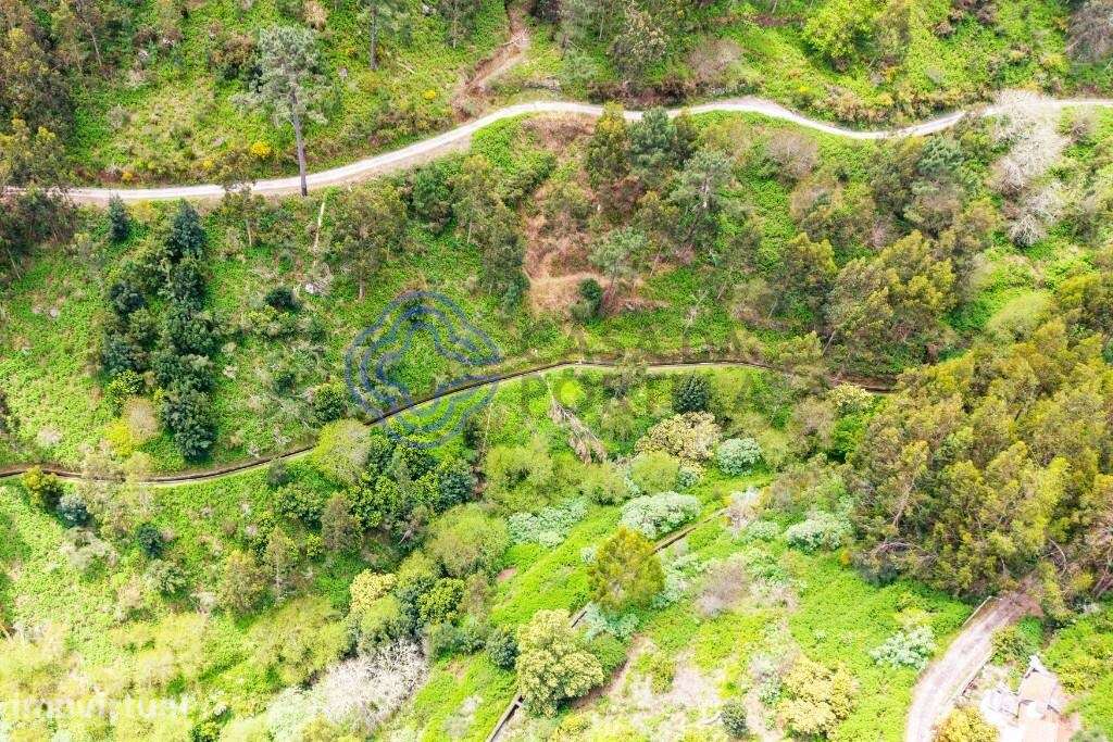 Terreno Rústico em Zona Natural e Agrícola — Freguesia de Santa Cruz, - Grande imagem: 5/15