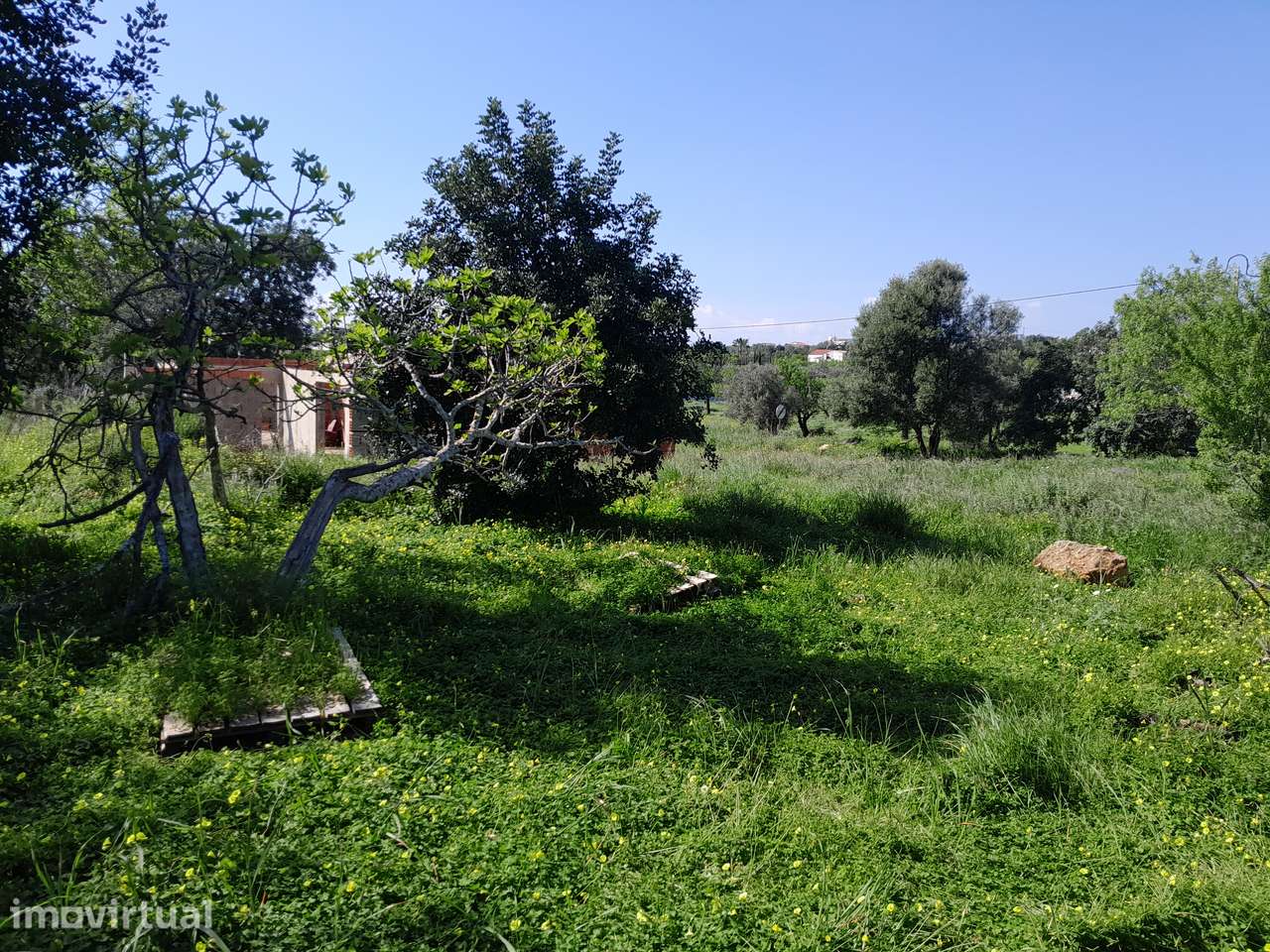 Terreno C/ Casa em construção Pechão - Grande imagem: 3/5
