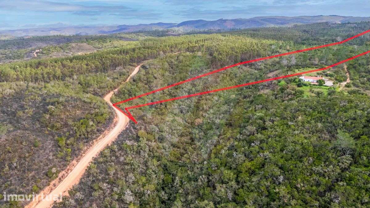 10 Hectares de Natureza Imaculada - Apenas a 5 Minutos de Aljezur - Grande imagem: 5/14