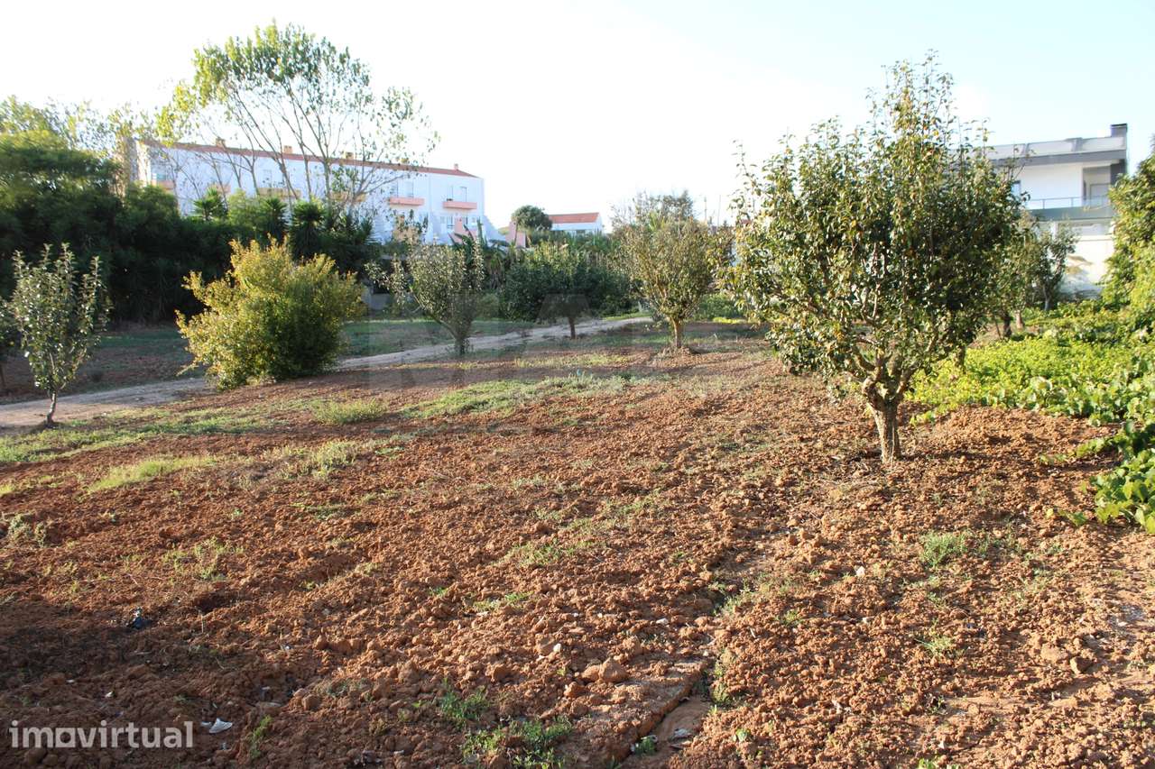 Terreno para Moradia T4 com Projeto Aprovado e Anexos | Lourinhã - Grande imagem: 3/16