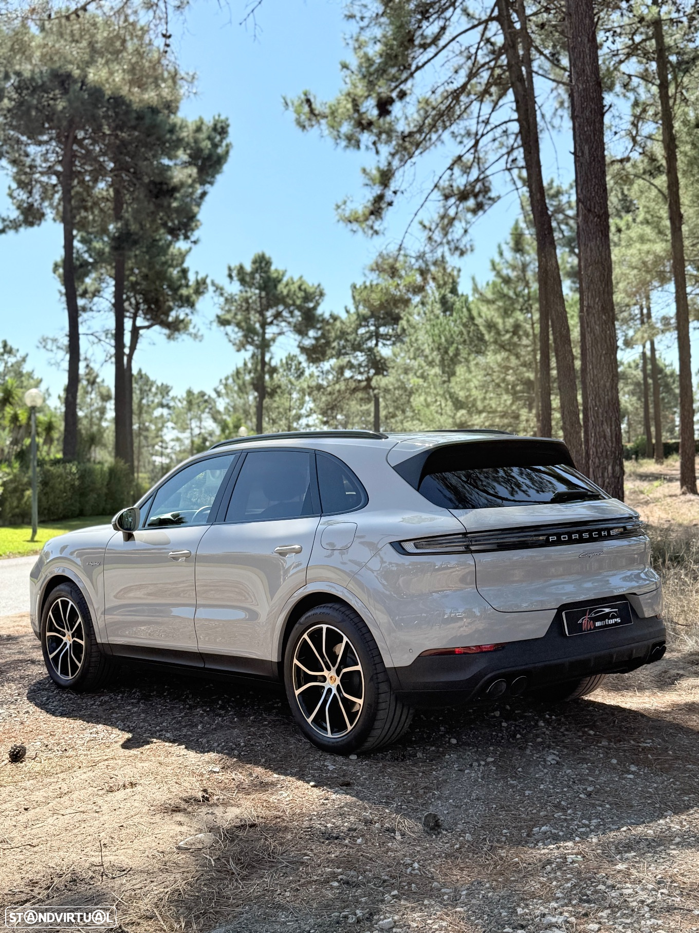 Porsche Cayenne E-Hybrid - 3