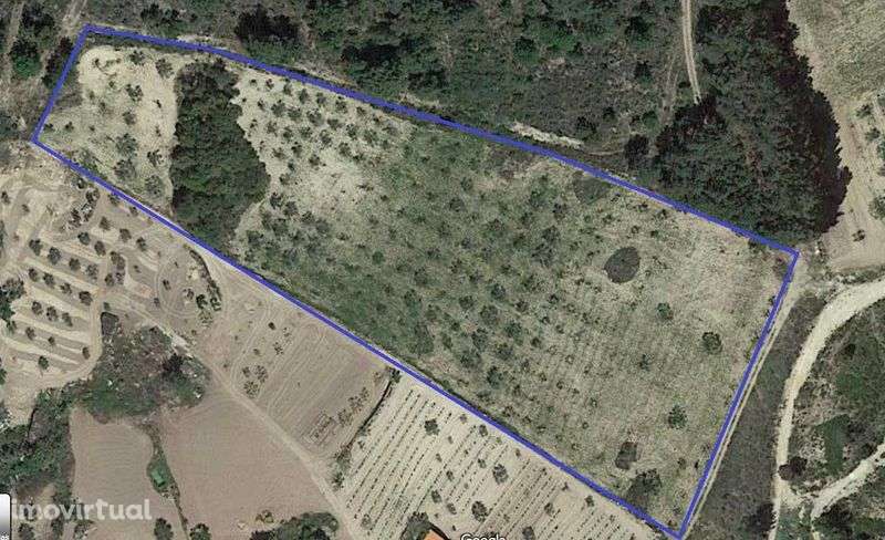 Quintinha/Olival - Mirandela - Torre Dona Chama - Grande imagem: 3/12