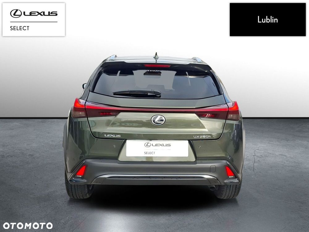 Lexus UX 250h GPF F Sport Design 2WD - 4