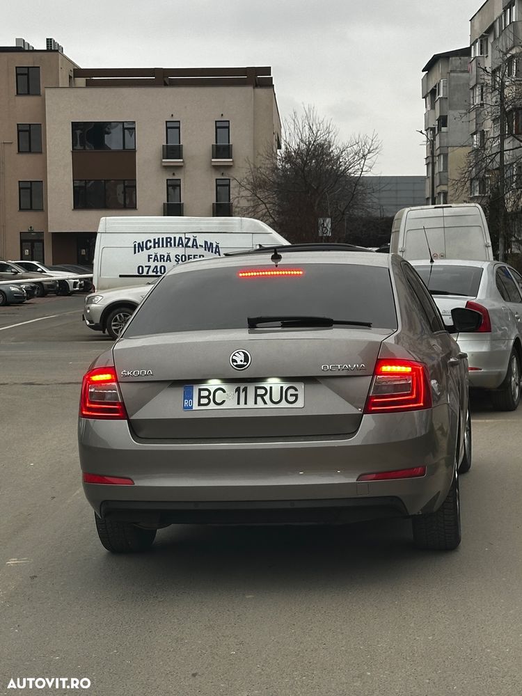 Skoda Octavia ver-2-0-tdi-elegance - 10