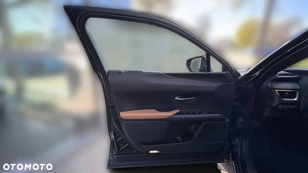 Lexus UX 250h Elegance 2WD - 12