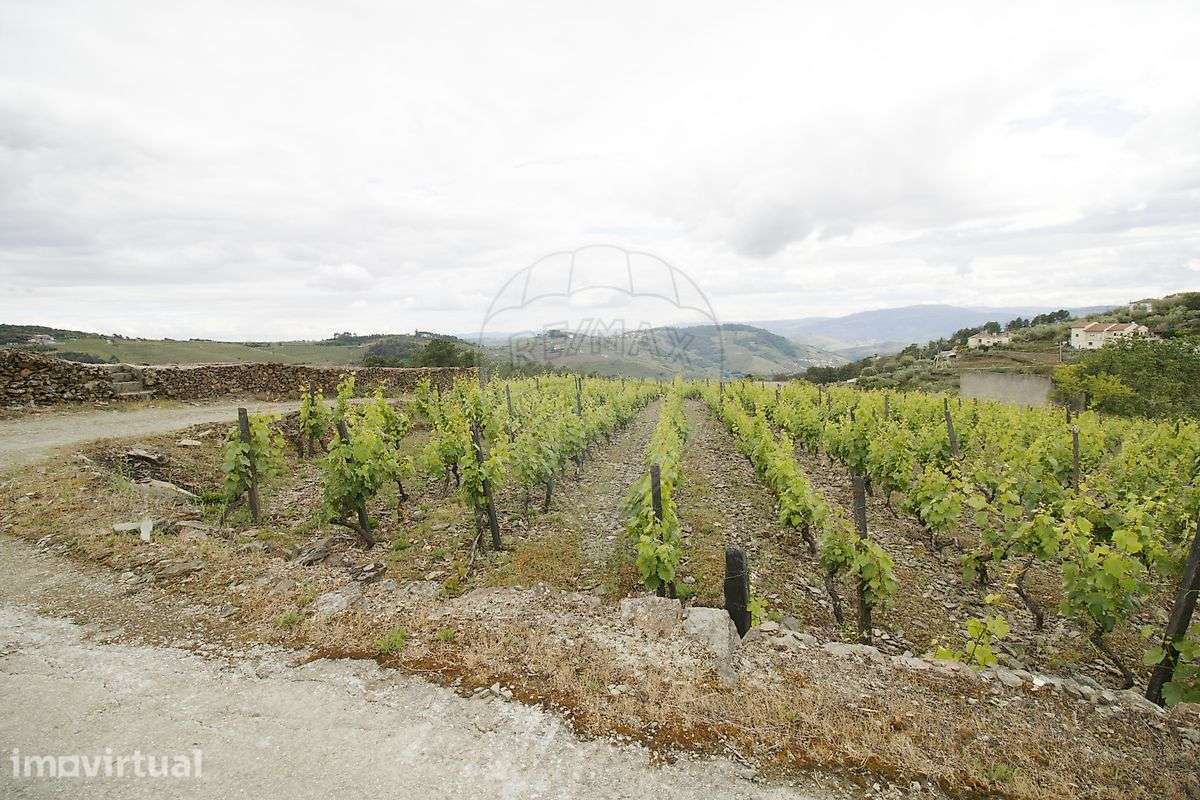 Terreno  para venda - Grande imagem: 3/10