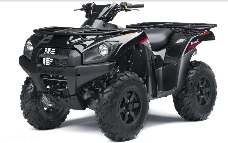 Kawasaki Brute Force - 3