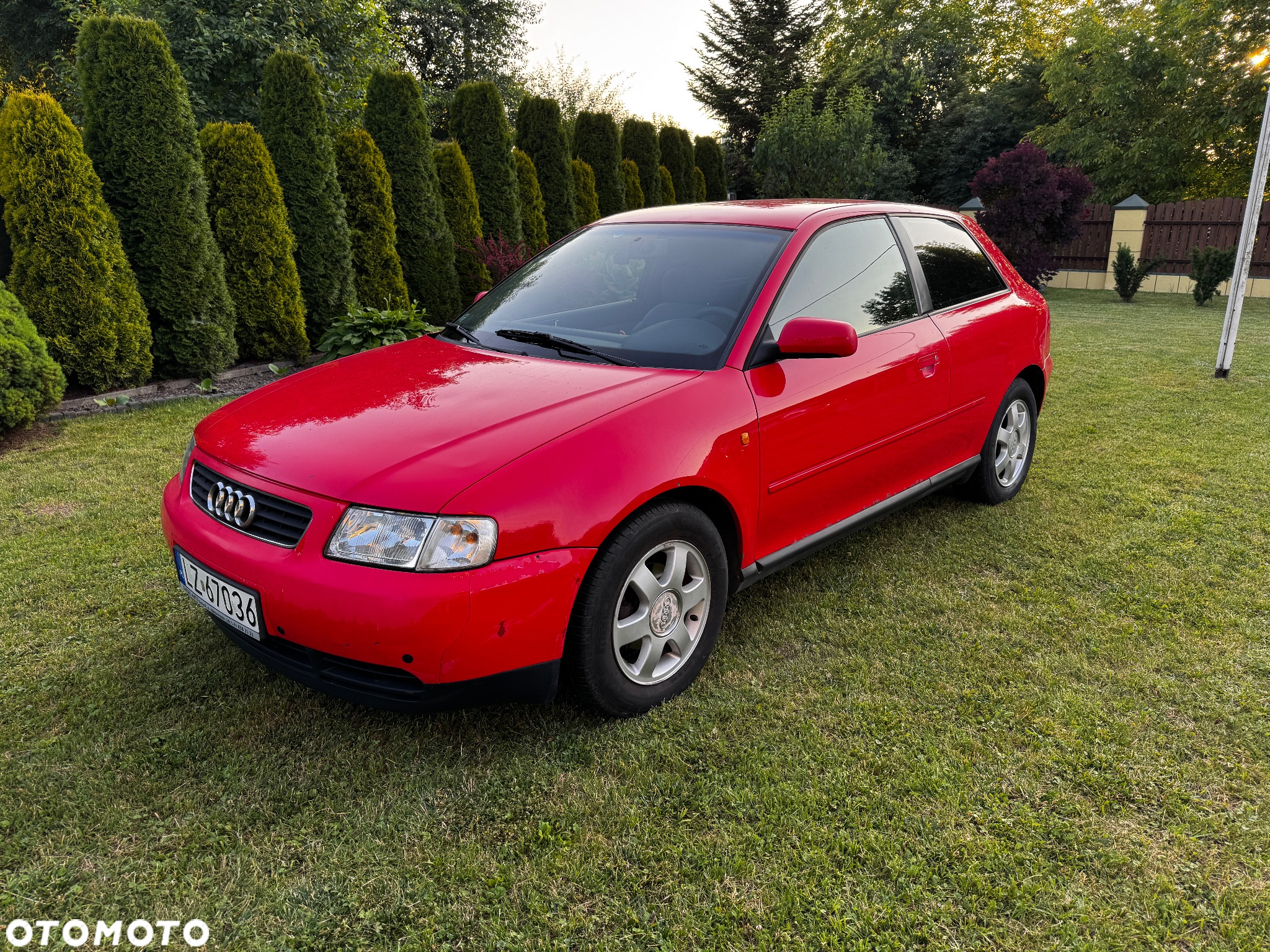 Audi A3 1.6 Ambiente - 2
