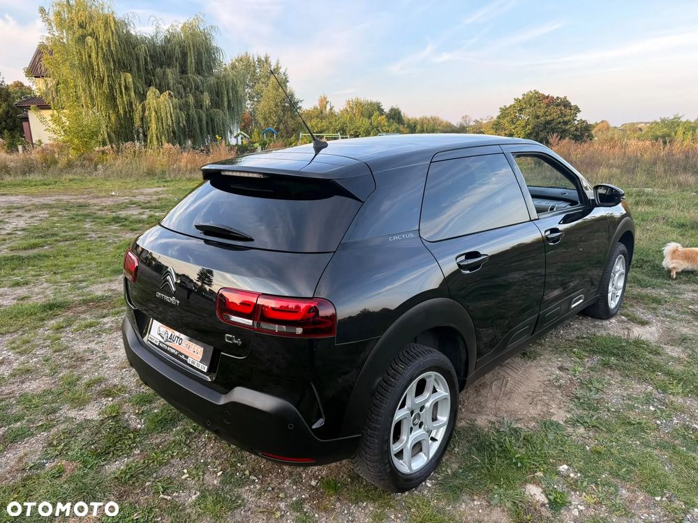 Citroën C4 Cactus - 3