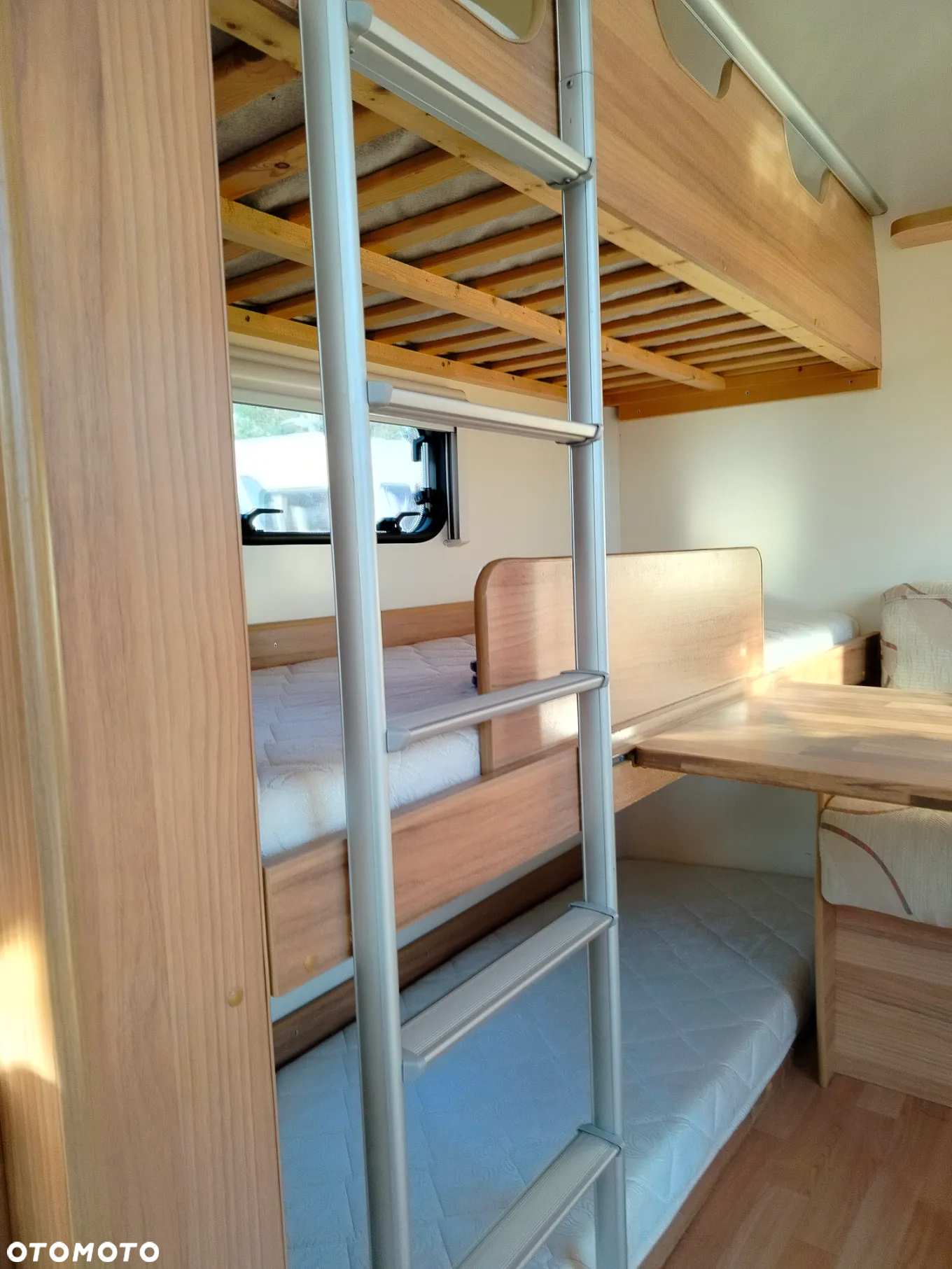 Bailey Orion - 28