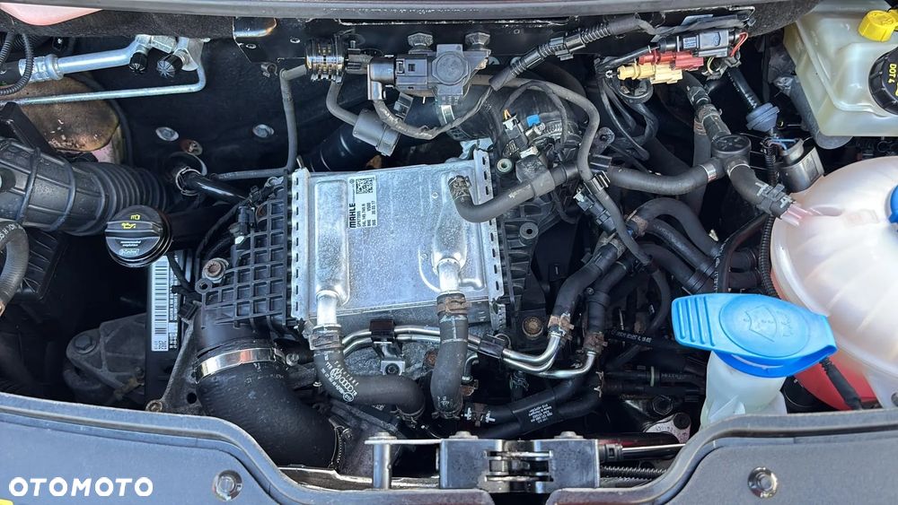 Volkswagen Transporter T6 - 29