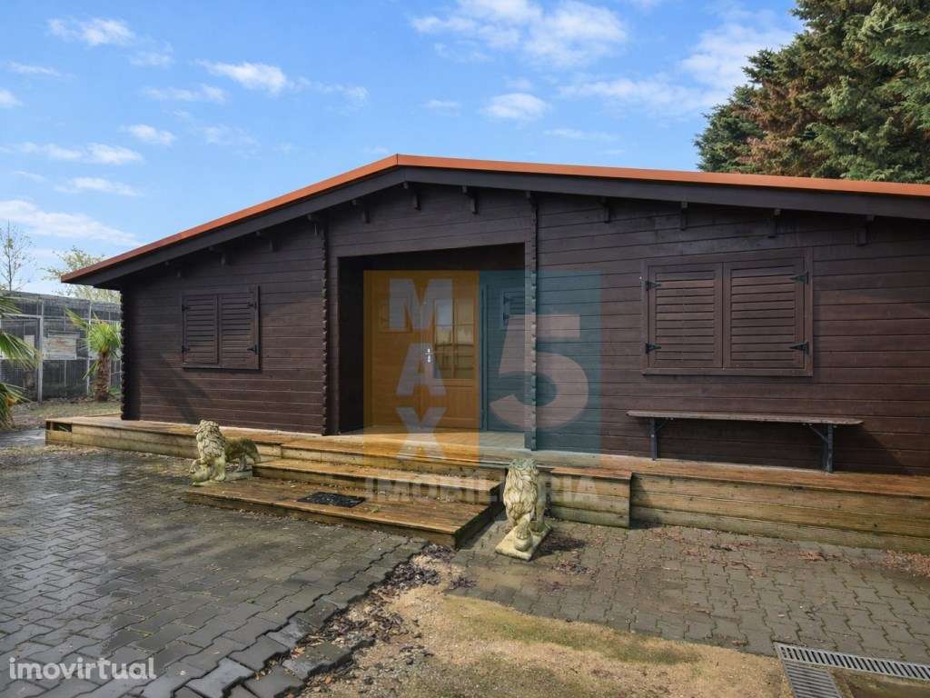 Quinta com 4.880 m2 - Alpiarça - Grande imagem: 5/48