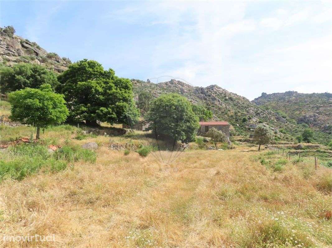 Quinta  para venda - Grande imagem: 3/50