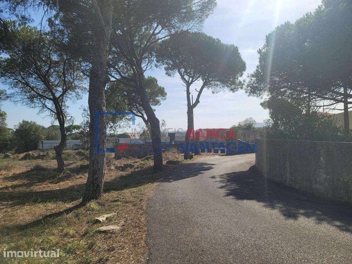 TERRENO RUSTICO 24040 m2  - TERRUGEM - Grande imagem: 3/30