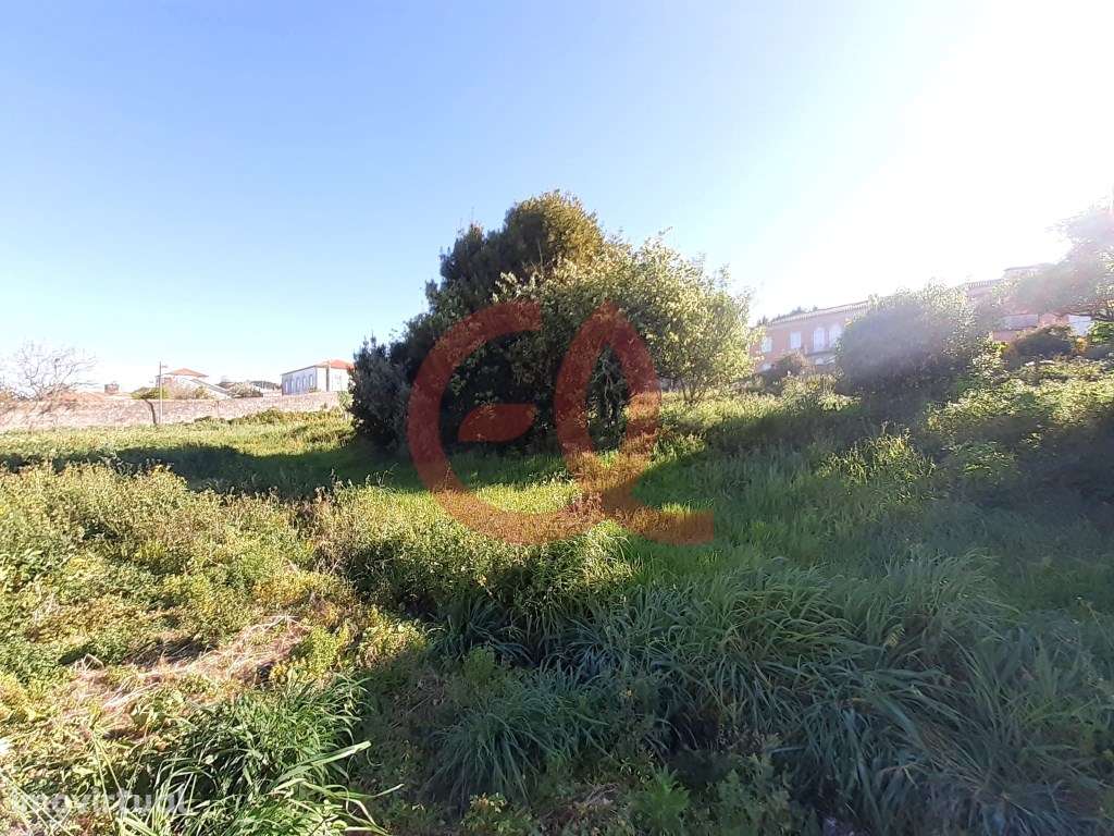 Terreno - Areosa, Viana do Castelo - Grande imagem: 3/8