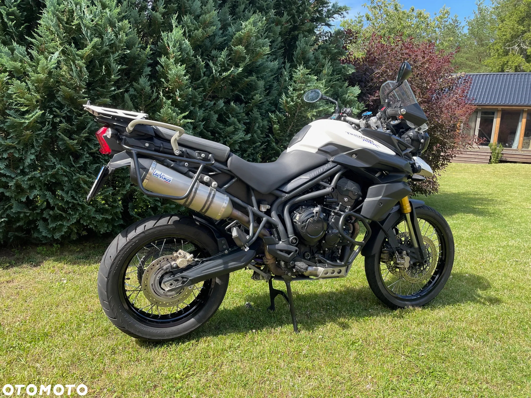 Triumph Tiger - 3