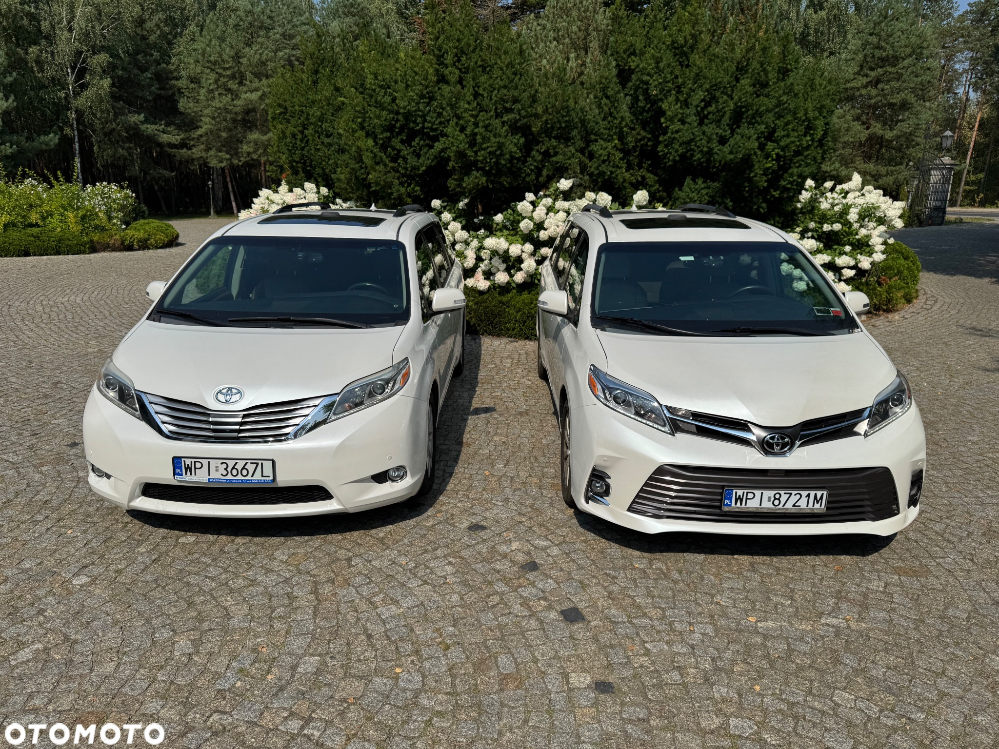 Toyota Sienna - 25