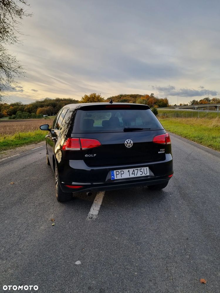 Volkswagen Golf 1.6 TDI BlueMotion Technology Allstar - 15