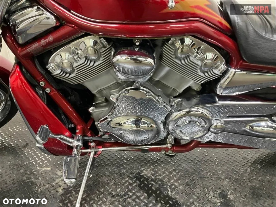 Harley-Davidson Softail V-Rod - 5