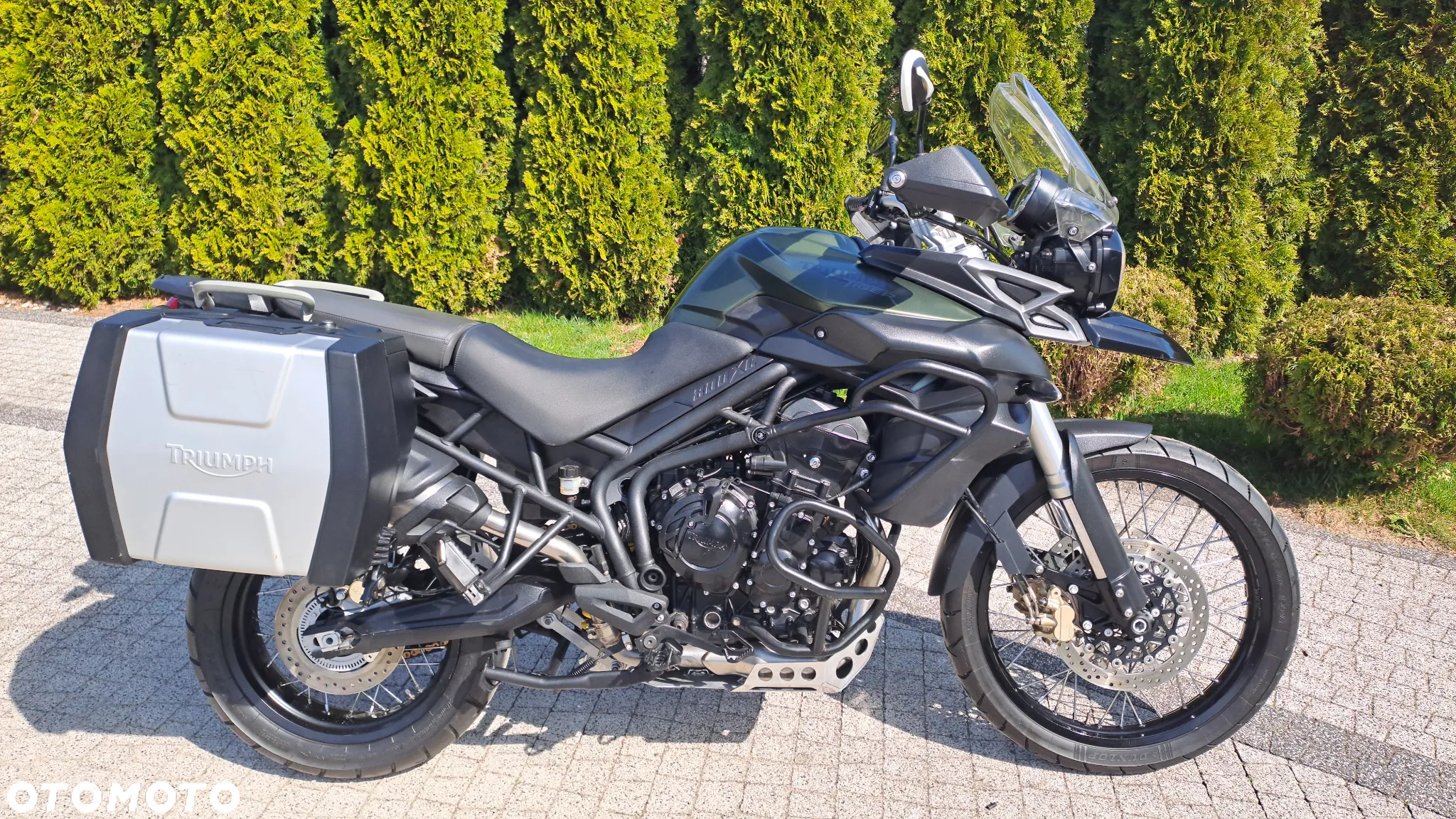 Triumph Tiger - 9