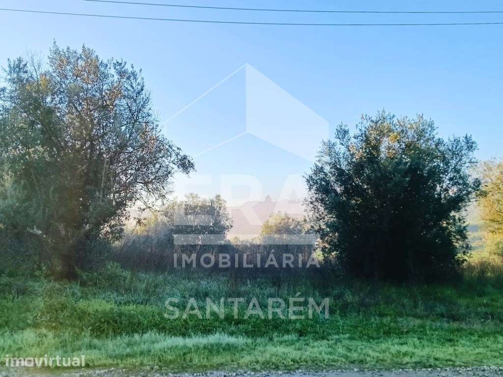 Terreno situado no centro da vila de Acanhões - Grande imagem: 3/6
