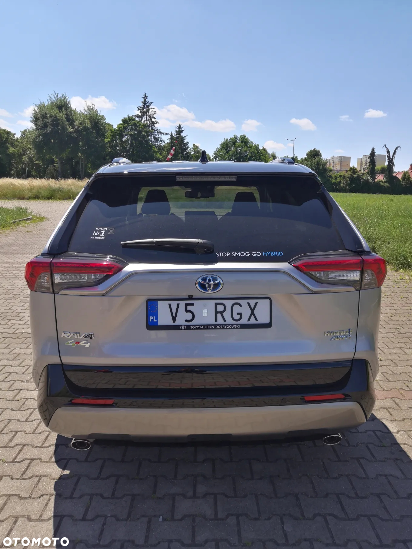 Toyota RAV4 2.5 Hybrid Selection 4x4 - 2