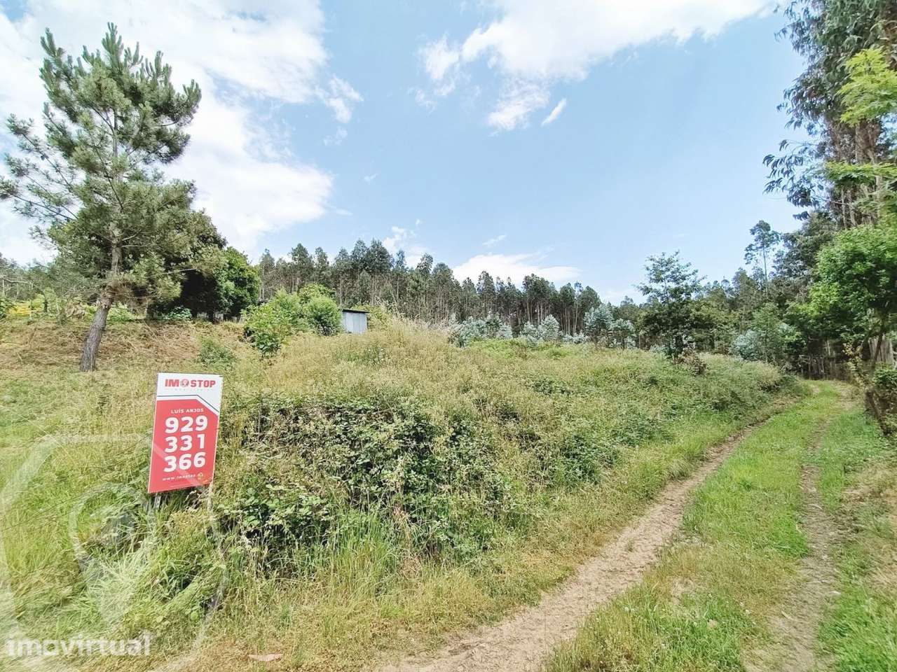 Terreno em Macinhata do Vouga - Vistas Panorâmicas! - Grande imagem: 2/4