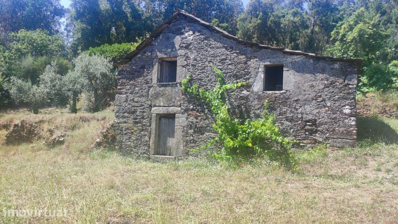 Casa/ Ruína em S. Miguel do Mato - Grande imagem: 2/24