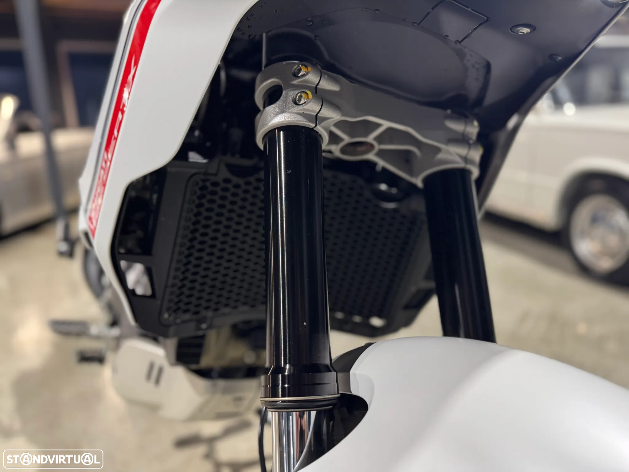 Ducati DesertX 900 TERMIGNONI - 18