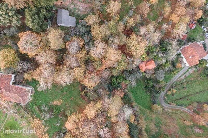 Quintinha com casa em Travassós - Fafe - Grande imagem: 2/2