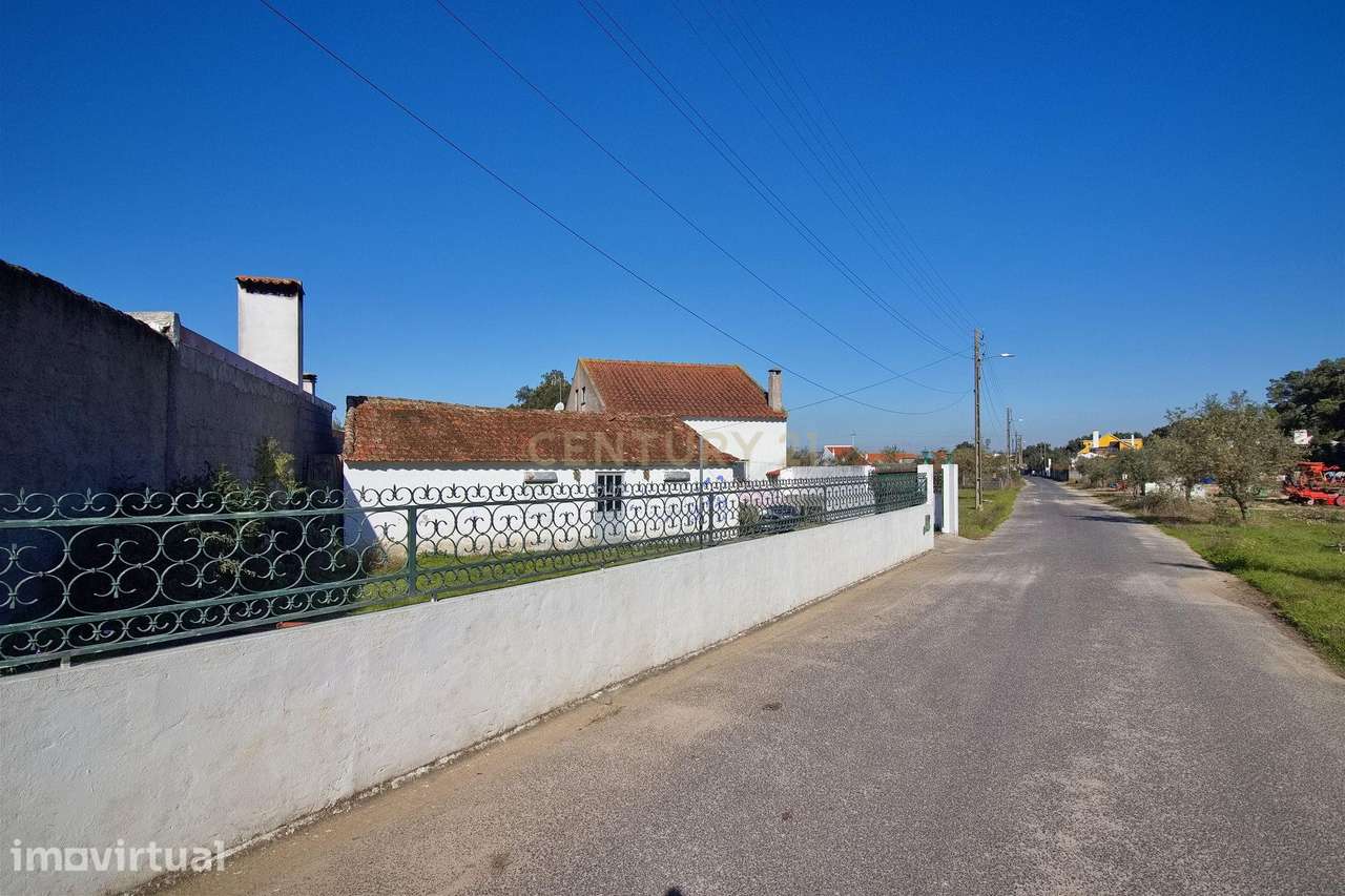 Moradia com Terreno para Venda – Carregueira (Chamusca) , Terreno: 2.1 - Grande imagem: 4/32