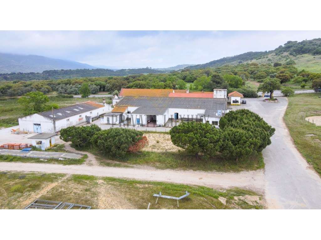 Herdade com 271 hectares na Serra da Arrábida - Setubal - Grande imagem: 5/60