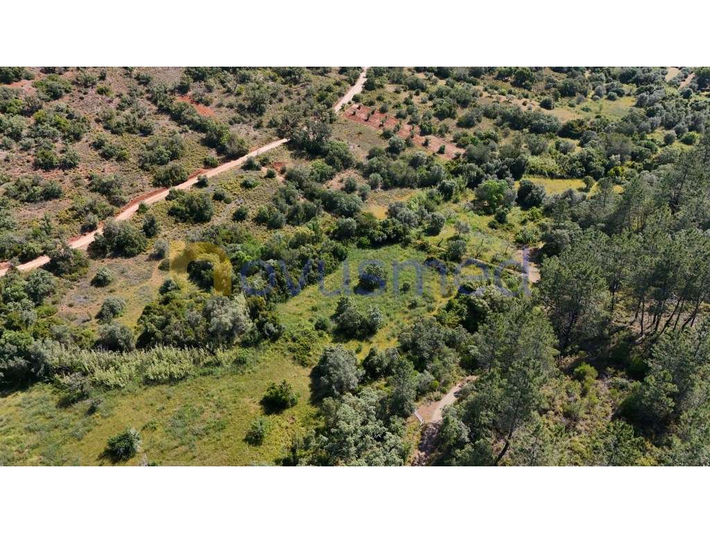 Terreno Rústico de 3000m² na Encantadora Fonte Benémola - Querença,... - Grande imagem: 3/13