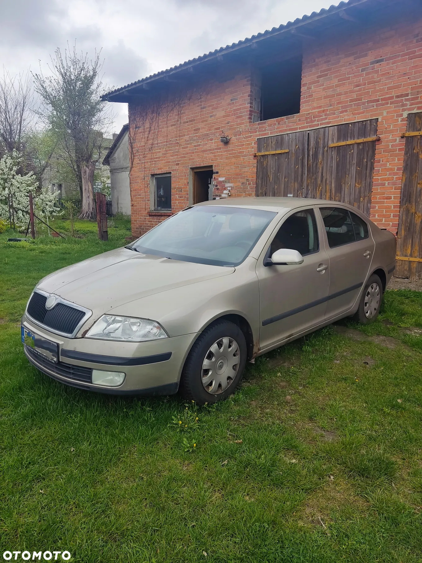 Skoda Octavia 1.9 TDI Elegance - 11