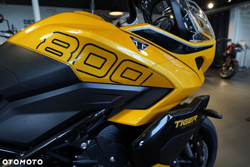 Triumph Tiger - 4