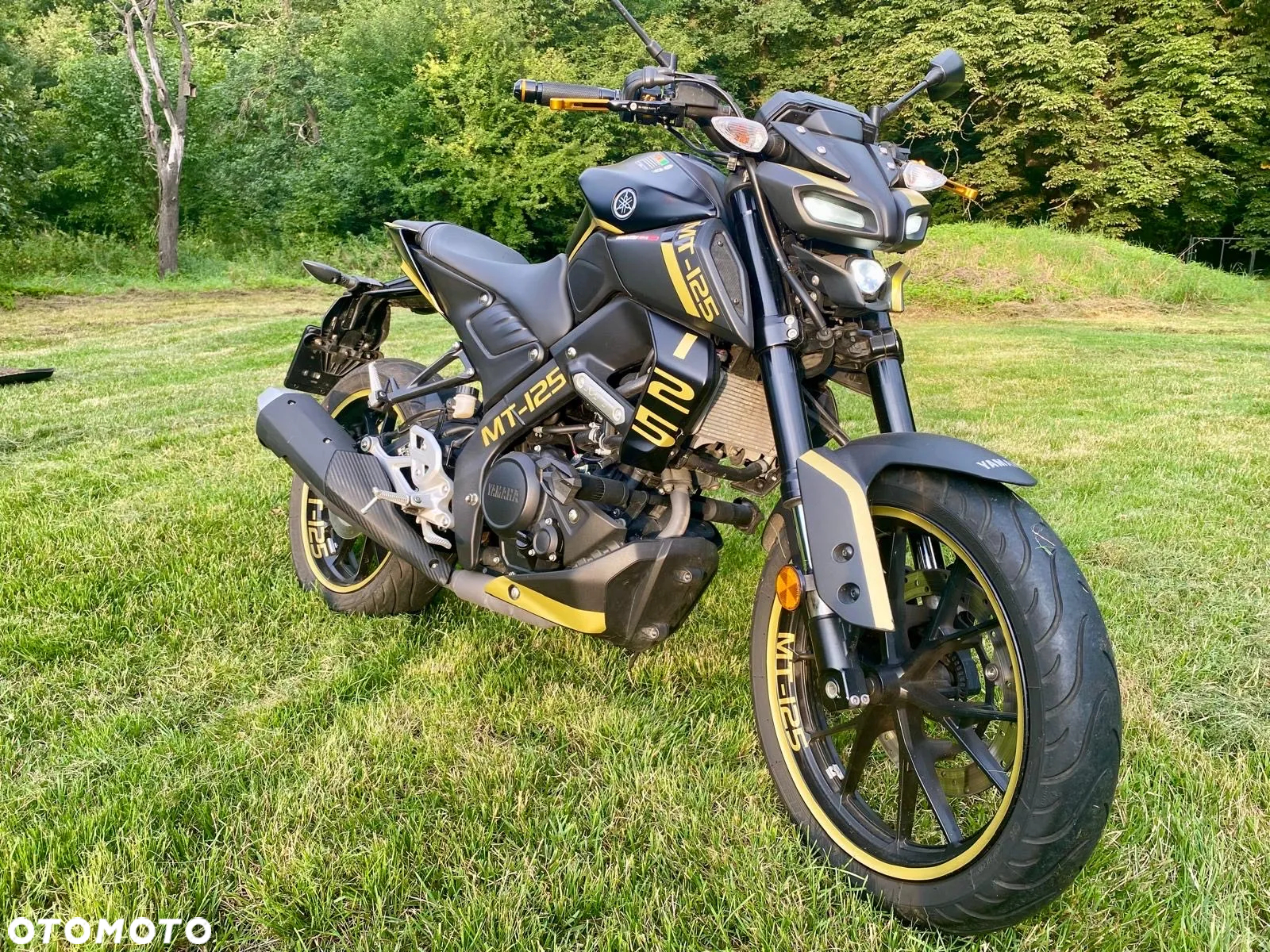 Yamaha MT - 6