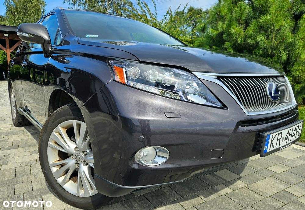 Lexus RX - 13