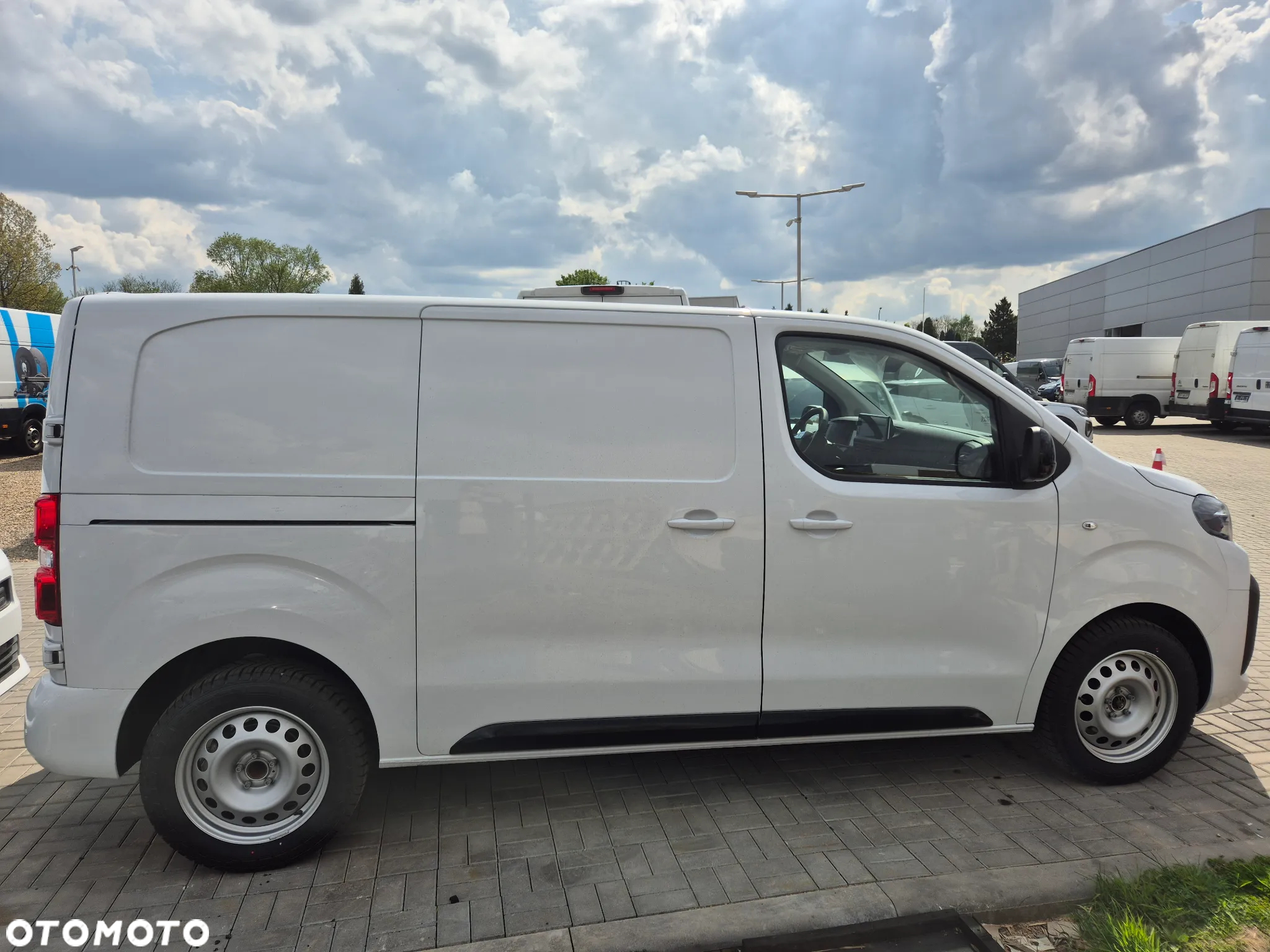 Peugeot Expert Furgon Standard 1.5 HDi 120KM 2025 !! OD RĘKI !! - 5