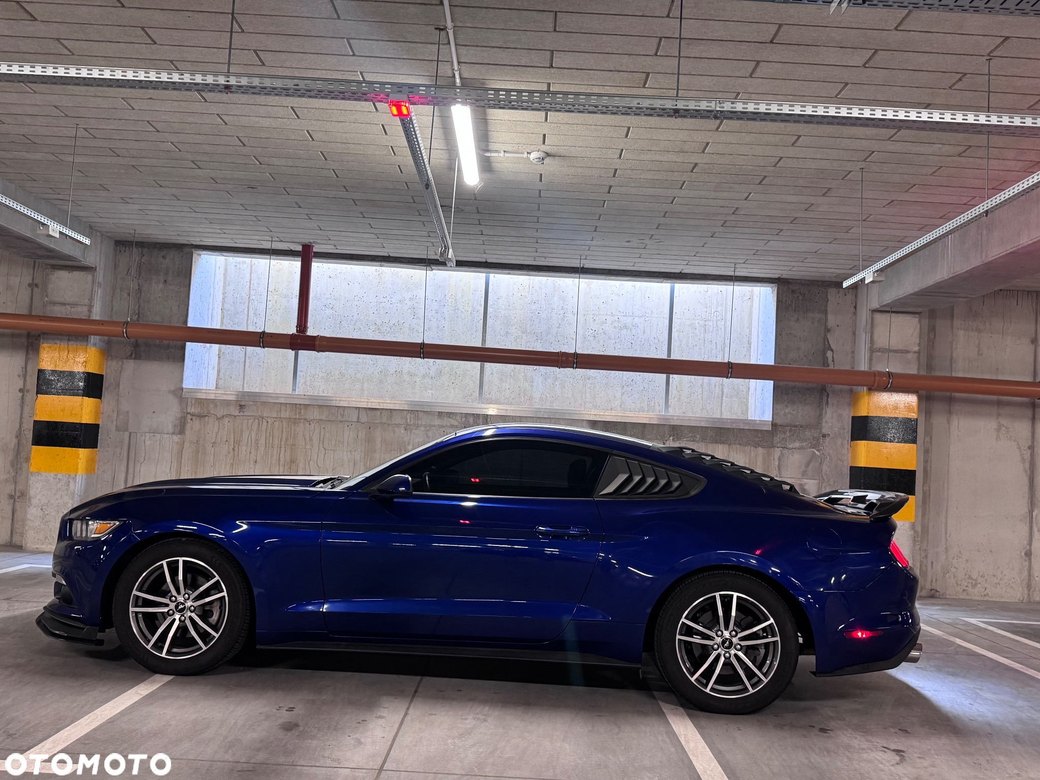 Ford Mustang 2.3 EcoBoost - 20