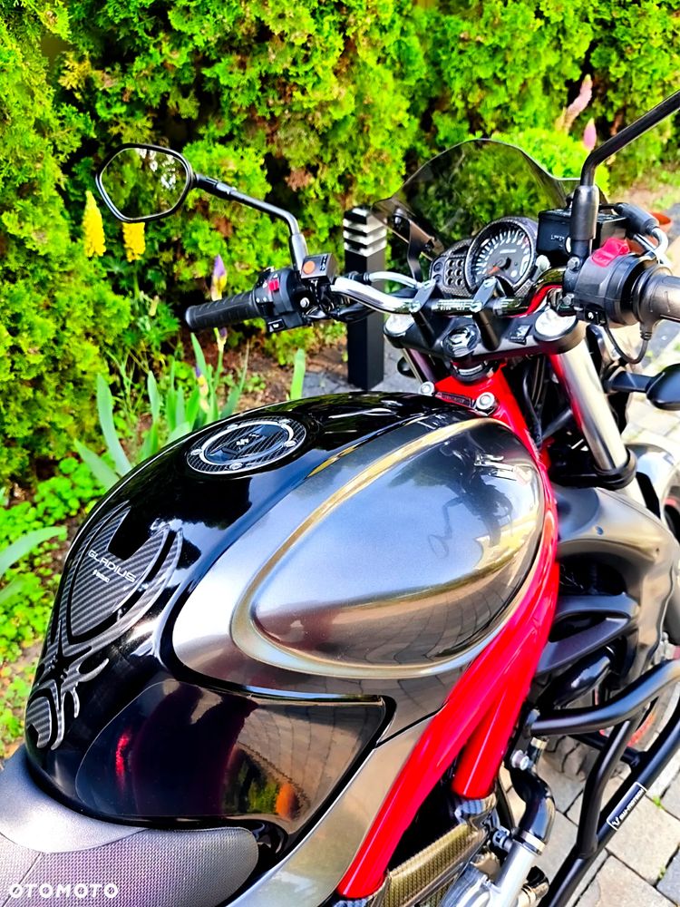 Suzuki Gladius - 6