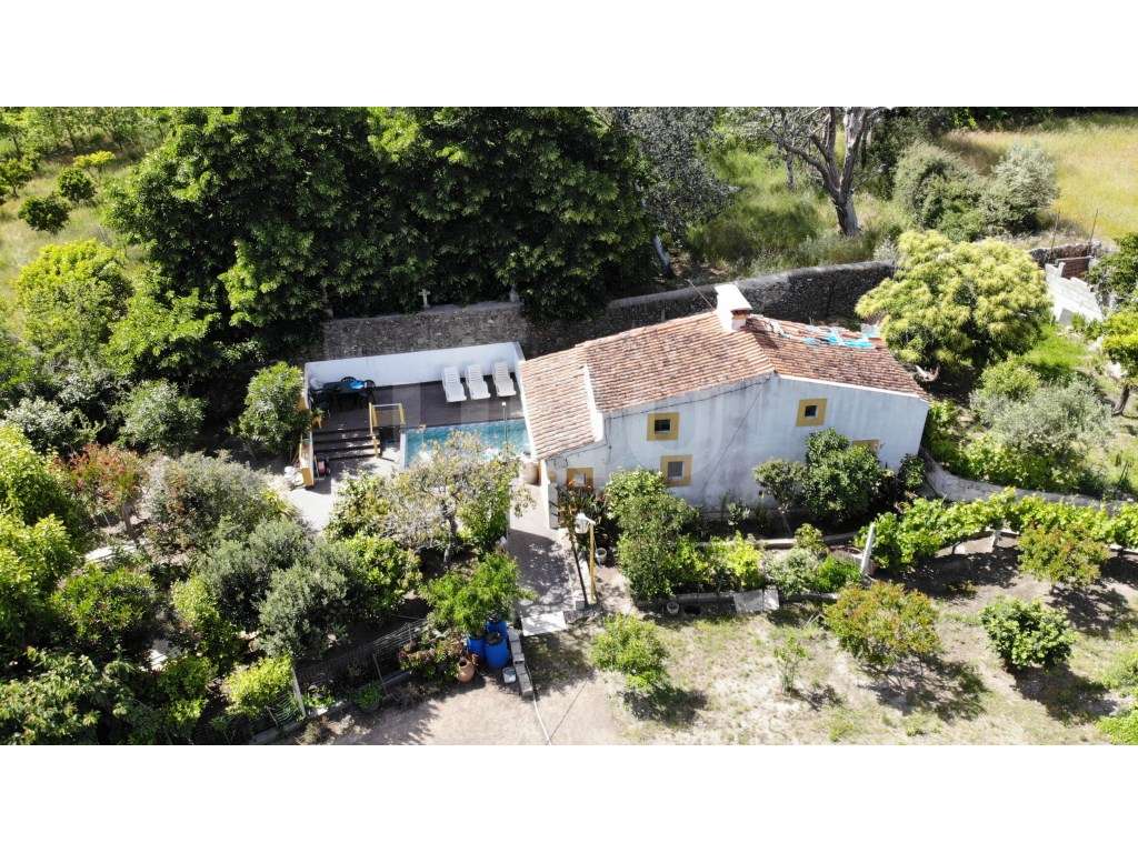 Quinta - Reguengo e São Julião - Um refúgio entre o campo e a serra! - Grande imagem: 2/37