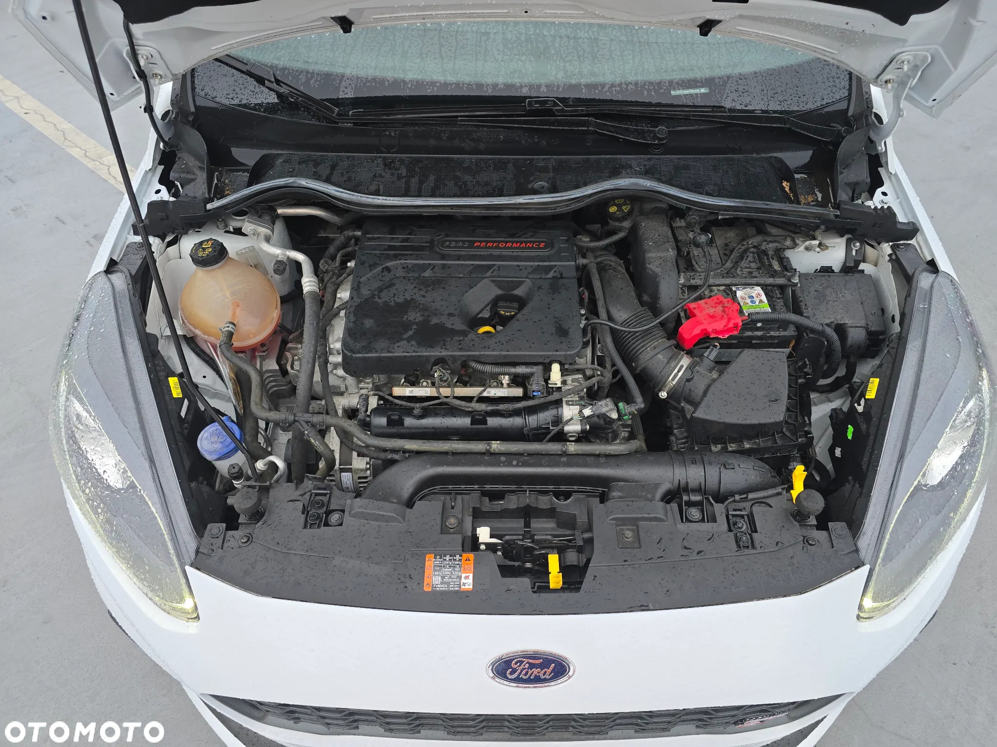 Ford Fiesta 1.5 EcoBoost S&S ST - 15