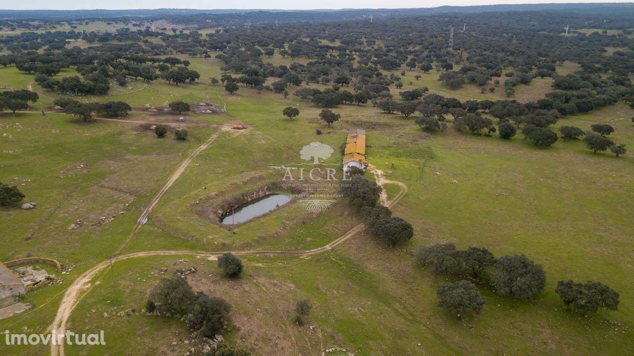 Herdade com Capacidade Fotovoltaica - - Grande imagem: 3/9