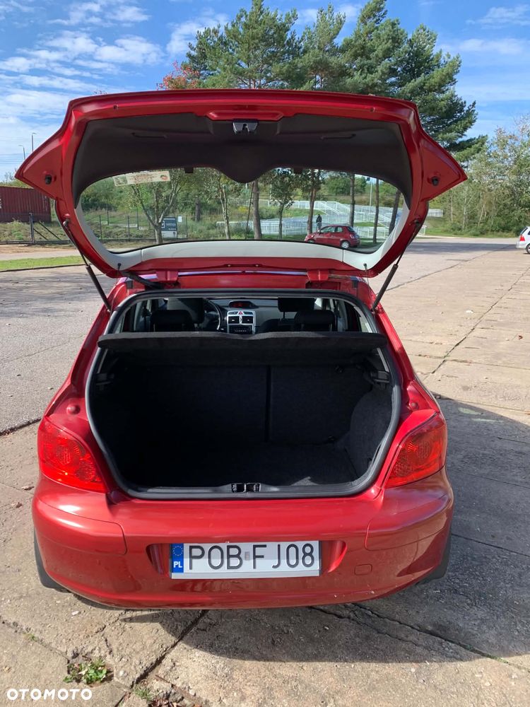 Peugeot 307 1.6 HDI Premium - 17
