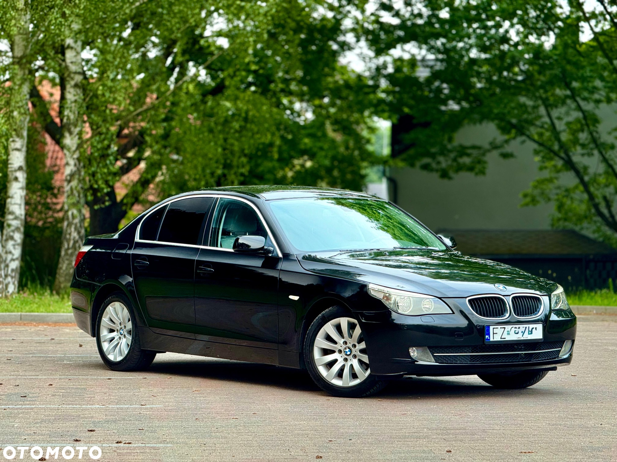 BMW Seria 5 520i - 10